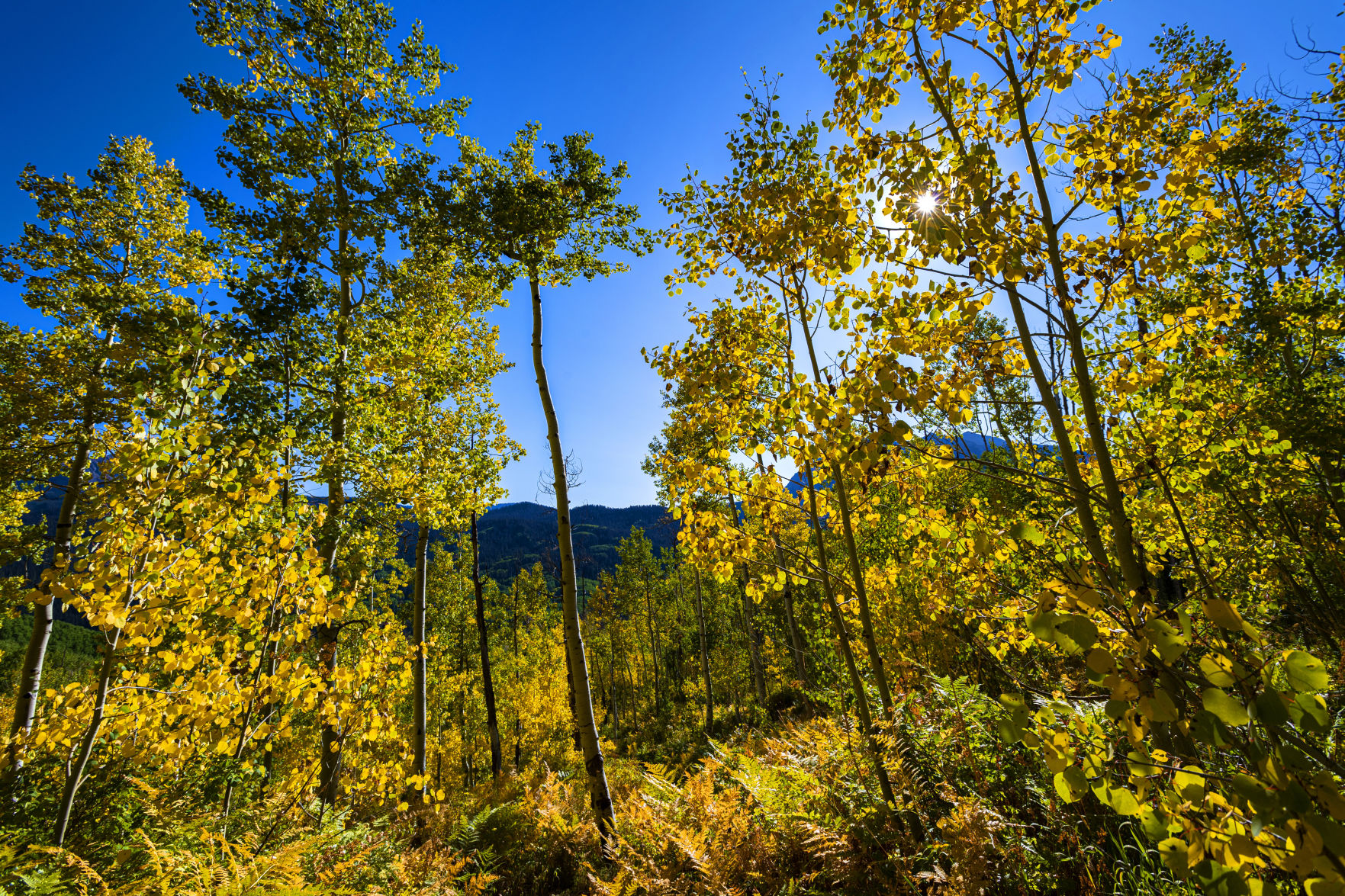 09_24_19 crested butte0545.jpg